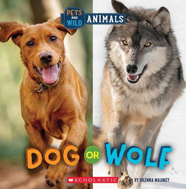 Produktbild: Dog or Wolf (Wild World: Pets and Wild Animals) | Brenna Maloney