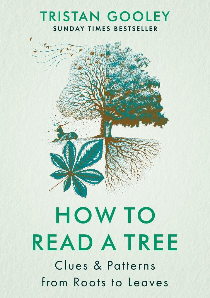 Produktbild: How to Read a Tree | Tristan Gooley