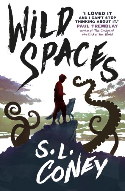 Produktbild: Wild Spaces | S. L. Coney