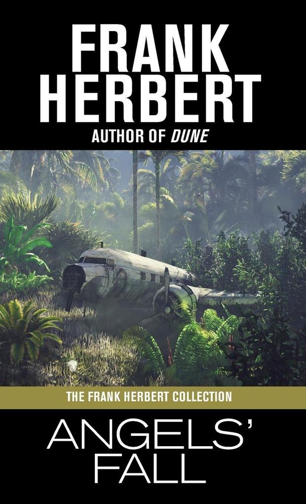 Produktbild: Angels' Fall | Frank Herbert