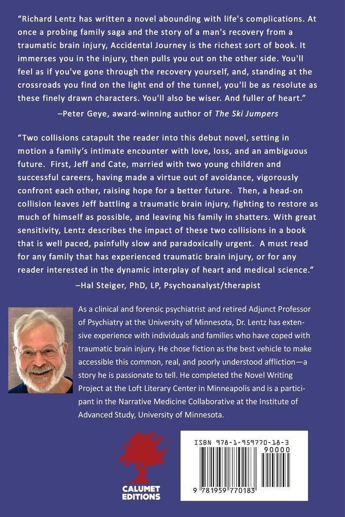 Weitere Ansicht: Accidental Journey | Richard D. Lentz