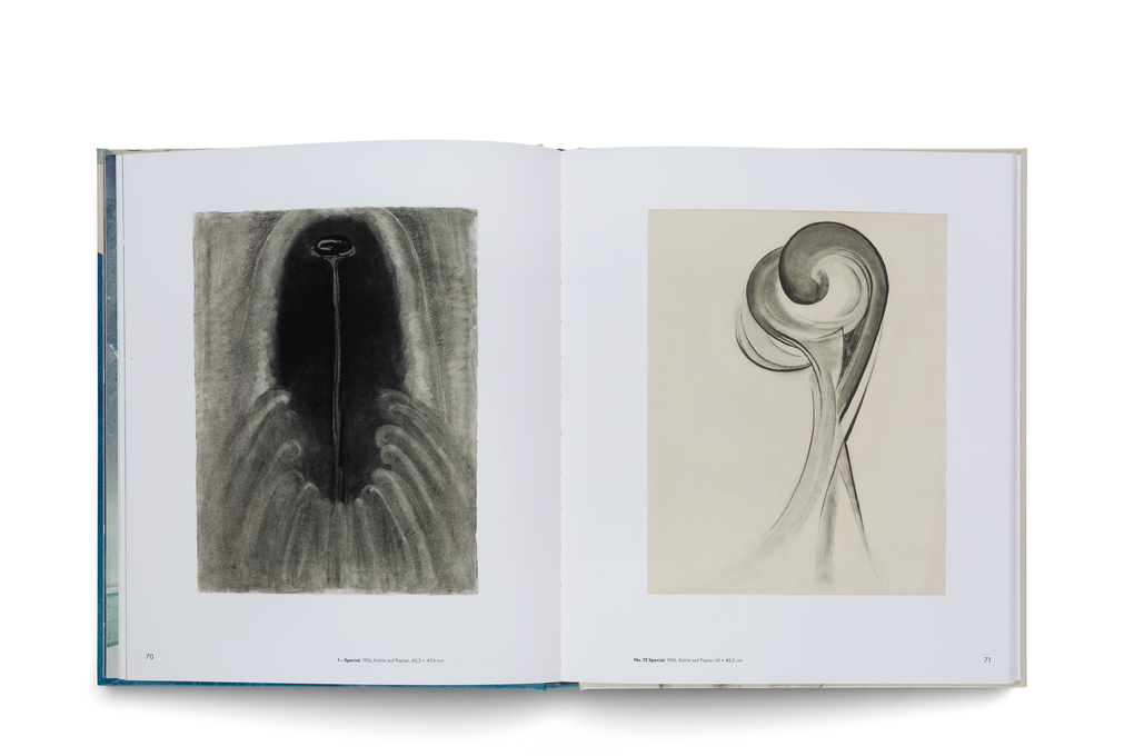 Weitere Ansicht: Georgia O'Keeffe