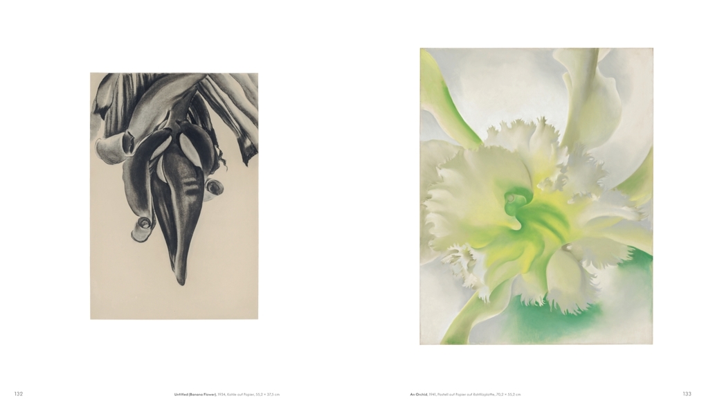 Weitere Ansicht: Georgia O'Keeffe