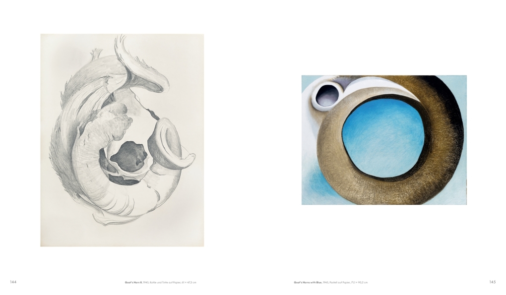 Weitere Ansicht: Georgia O'Keeffe