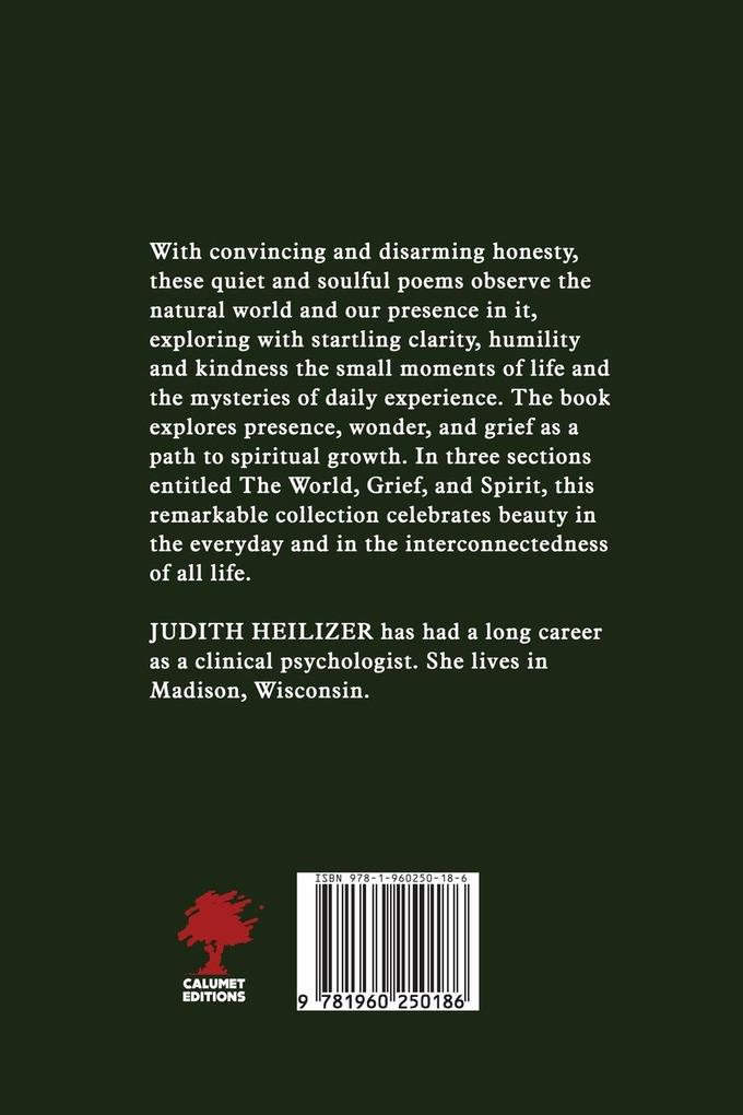 Weitere Ansicht: The Sun Rises as Does the Moon | Judith Heilizer