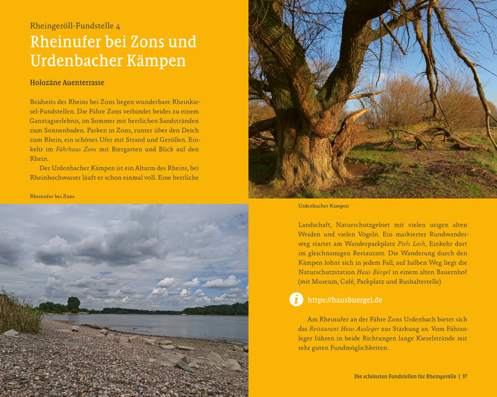 Weitere Ansicht: Schätze des Rheins | Sven von Loga