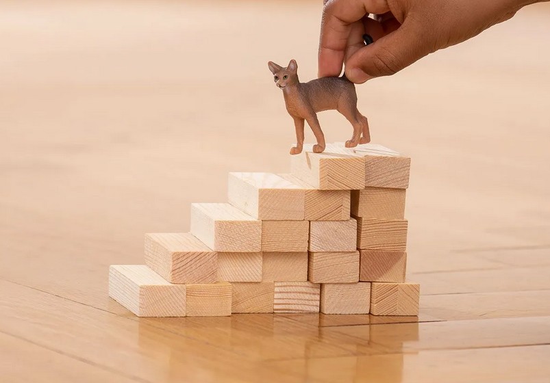 Weitere Ansicht: Schleich - Farm World - Abessinierkatze