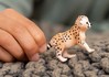 Weitere Ansicht: Schleich - Wild Life - Gepardenbaby