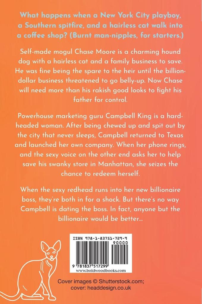 Weitere Ansicht: Anyone But The Billionaire | Sara L Hudson