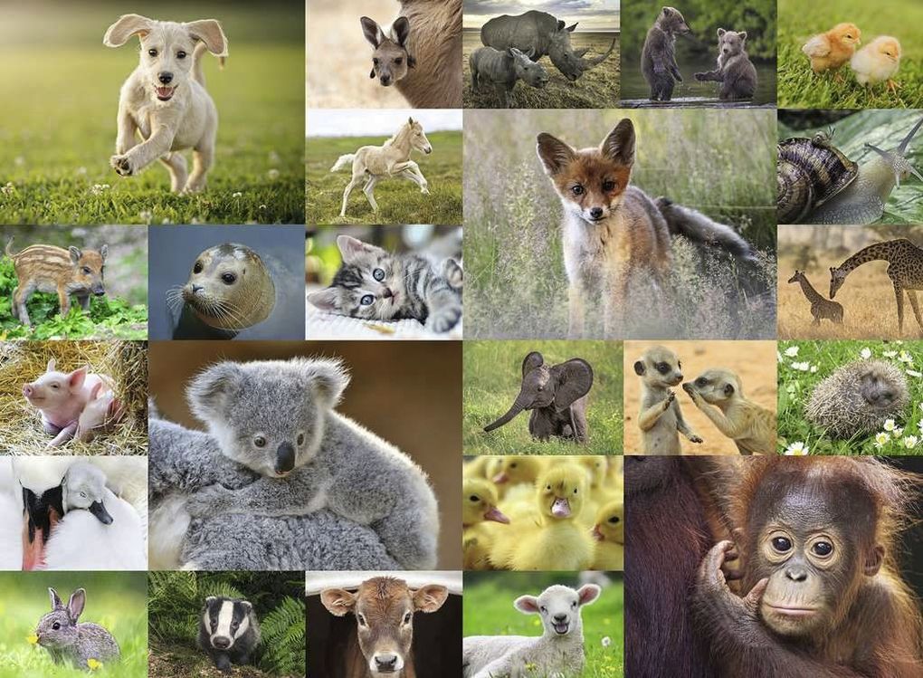 Weitere Ansicht: Ravensburger - Süße Tierbabys, 200 Teile