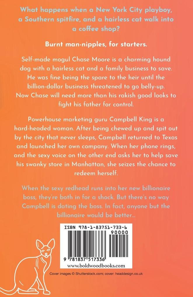 Weitere Ansicht: Anyone But The Billionaire | Sara L Hudson