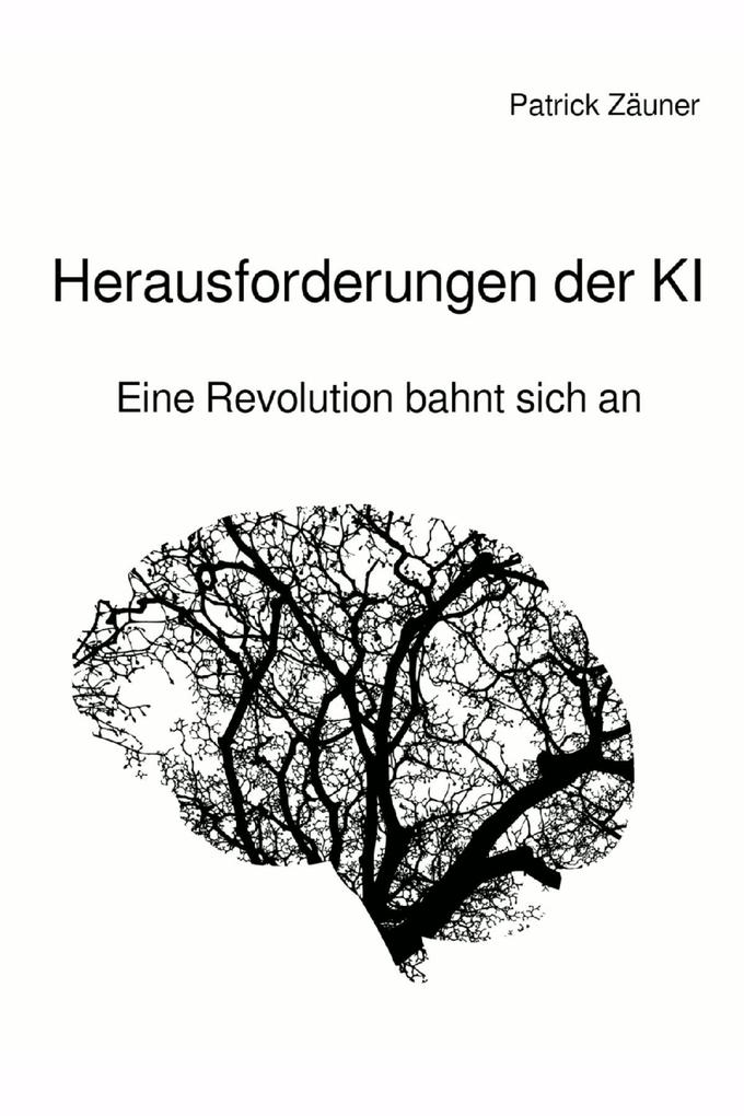 Produktbild: Herausforderungen der KI | Patrick Zäuner