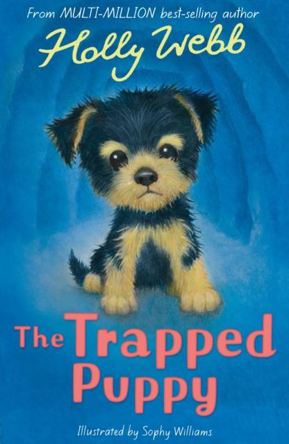 Produktbild: The Trapped Puppy | Holly Webb