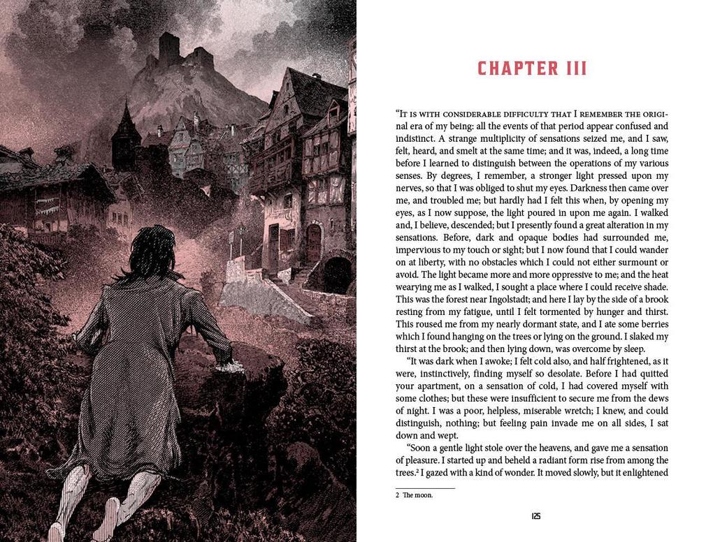 Weitere Ansicht: Frankenstein (Deluxe Edition) | Mary Shelley