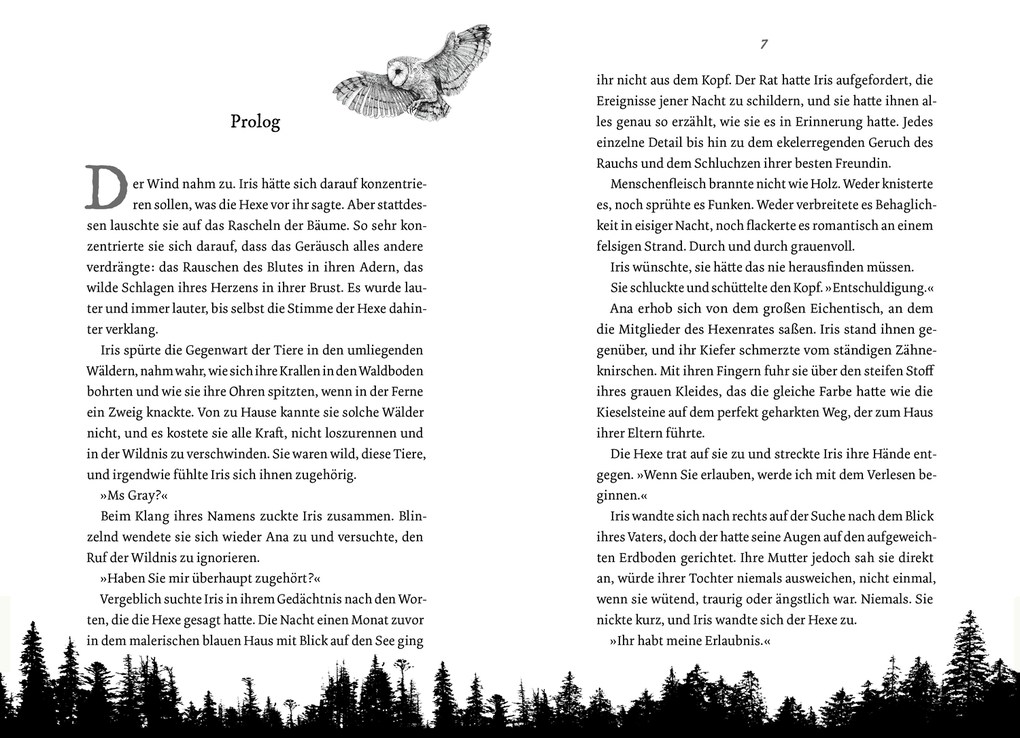 Weitere Ansicht: Wild is the Witch. Verfluchte Nähe | Rachel Griffin