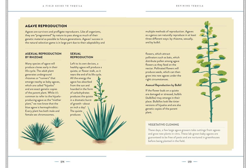 Weitere Ansicht: A Field Guide to Tequila | Clayton J. Szczech