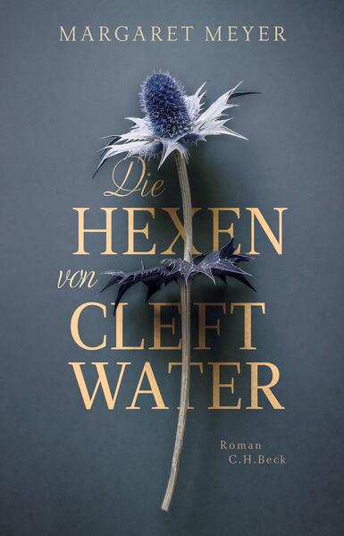 Produktbild: Die Hexen von Cleftwater | Margaret Meyer