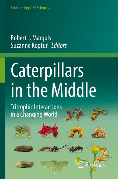 Produktbild: Caterpillars in the Middle