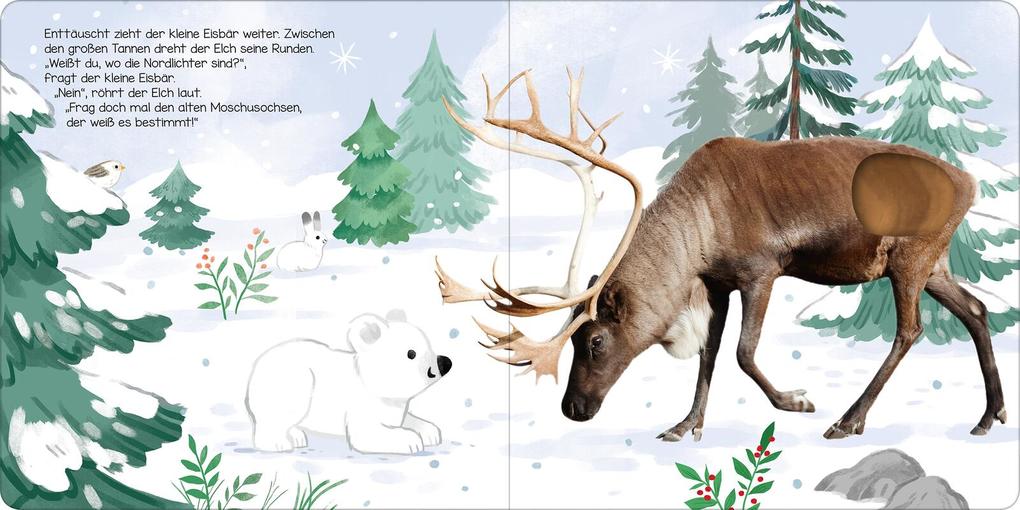 Weitere Ansicht: Hör mal, kleiner Eisbär!