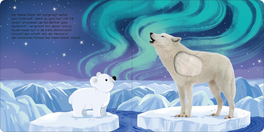 Weitere Ansicht: Hör mal, kleiner Eisbär!