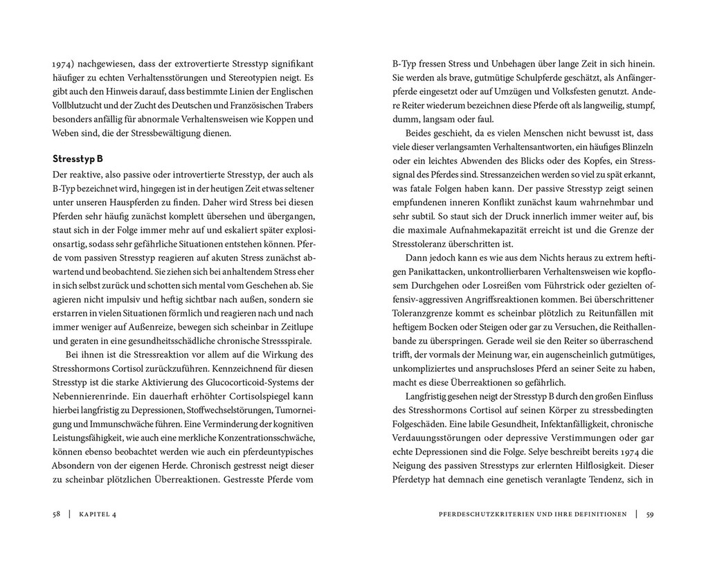 Weitere Ansicht: Die Rechte der Pferde | Marlitt Wendt