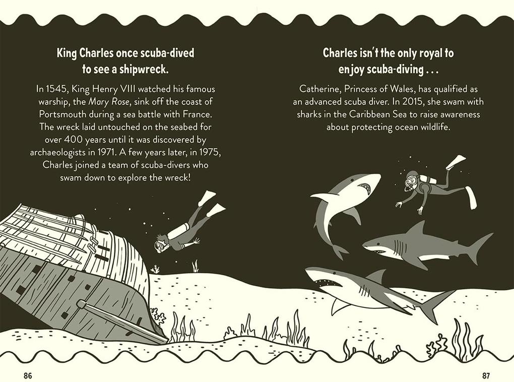 Weitere Ansicht: Amazing Facts King Charles III | Hannah Wilson