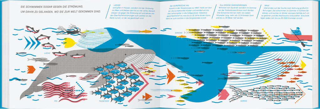 Weitere Ansicht: Hierhin, dahin | Romana Romanyschyn