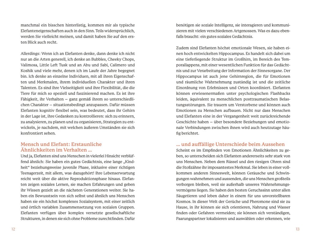 Weitere Ansicht: Elefanten | Angela Stöger