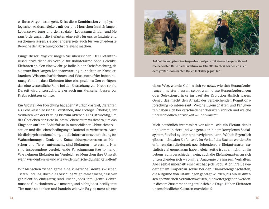 Weitere Ansicht: Elefanten | Angela Stöger