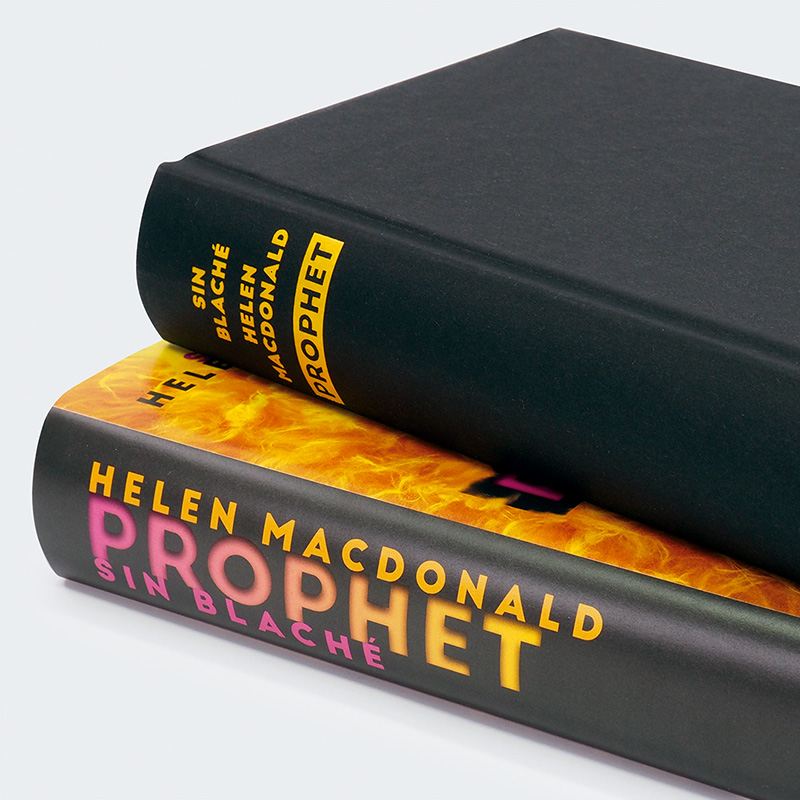 Weitere Ansicht: Prophet | Helen Macdonald, Sin Blaché