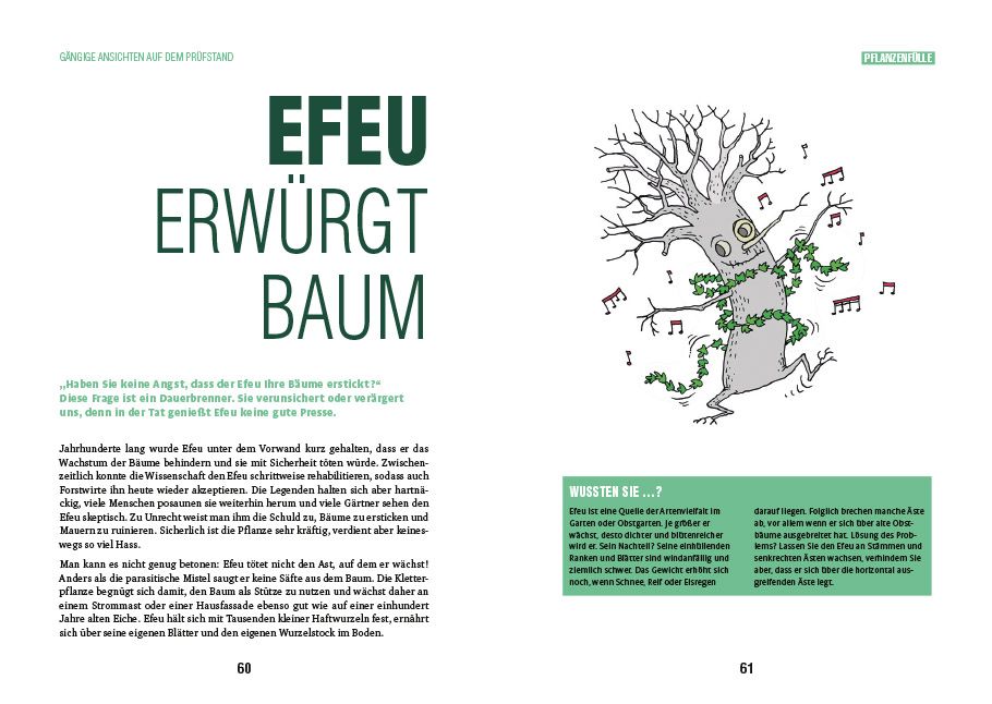 Weitere Ansicht: Efeu erwürgt Baum | Aino Adriaens
