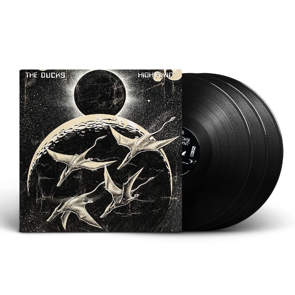 Produktbild: High Flyin' | The Ducks