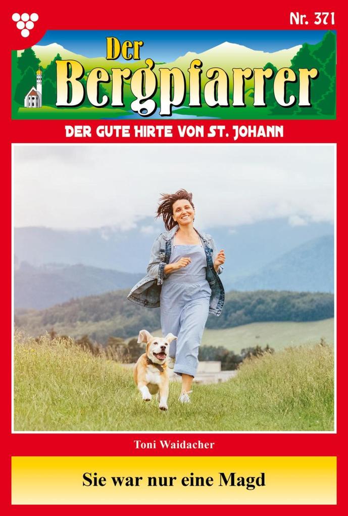 Produktbild: Sie war nur eine Magd | Toni Waidacher