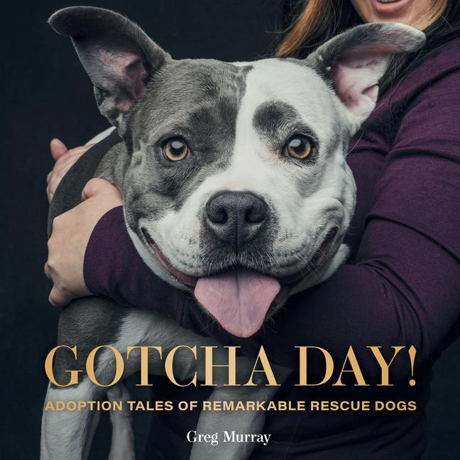 Produktbild: Gotcha Day! | Greg Murray