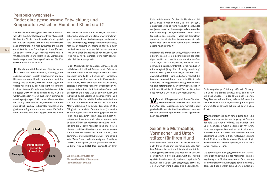 Weitere Ansicht: Hundgerecht | Sandra Foltin