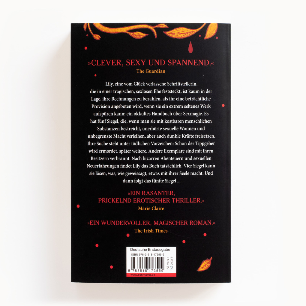 Weitere Ansicht: Das Buch der kostbarsten Substanz | Sara Gran