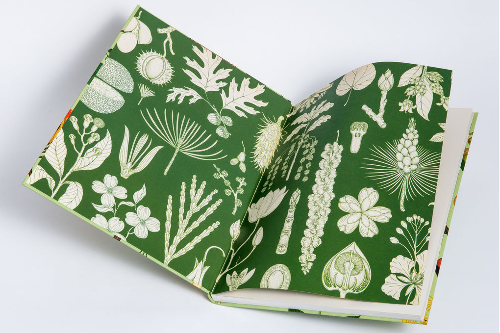 Weitere Ansicht: Das Museum der Bäume | Tony Kirkham, Katie Scott