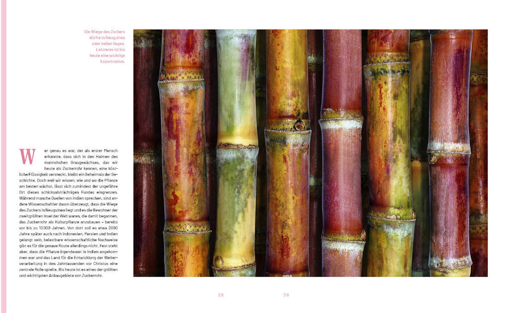 Weitere Ansicht: Das Zuckerl | Christian Mayer, Caroline Metzger