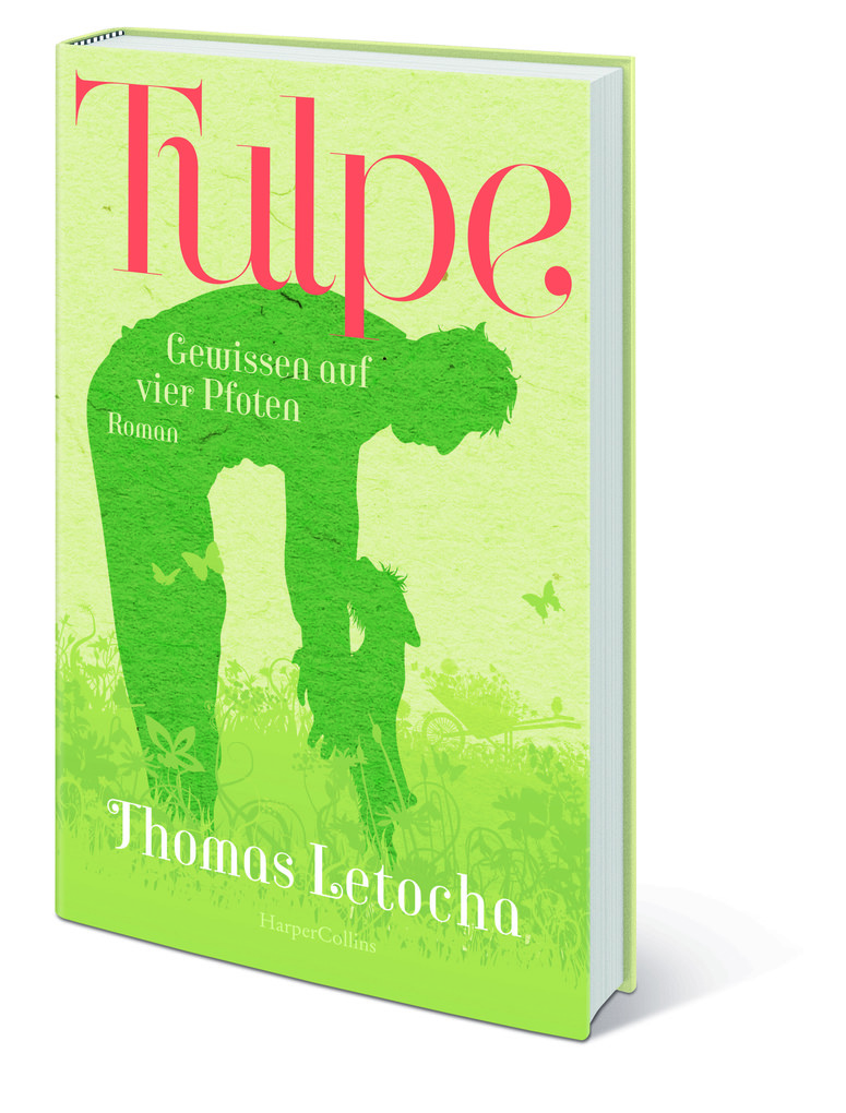Weitere Ansicht: Tulpe | Thomas Letocha