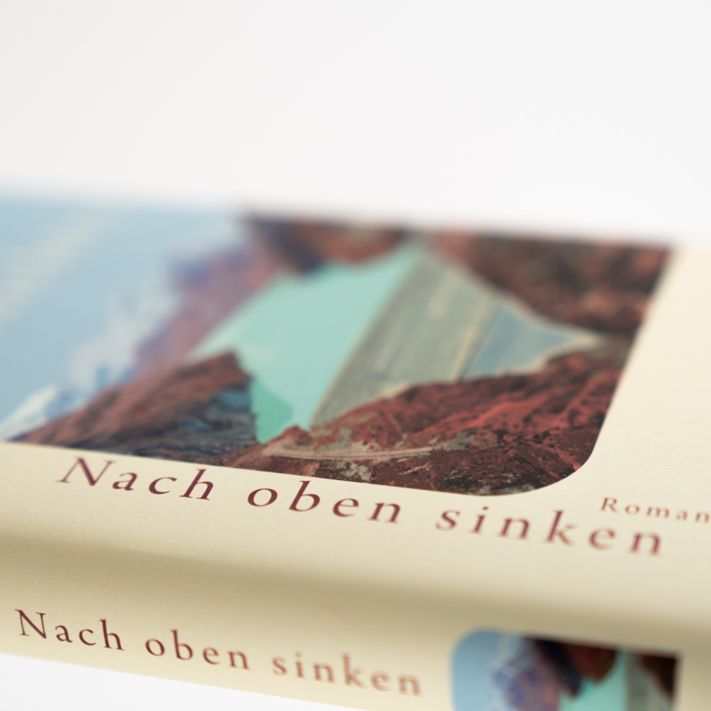 Weitere Ansicht: Nach oben sinken | Wilfried Meichtry
