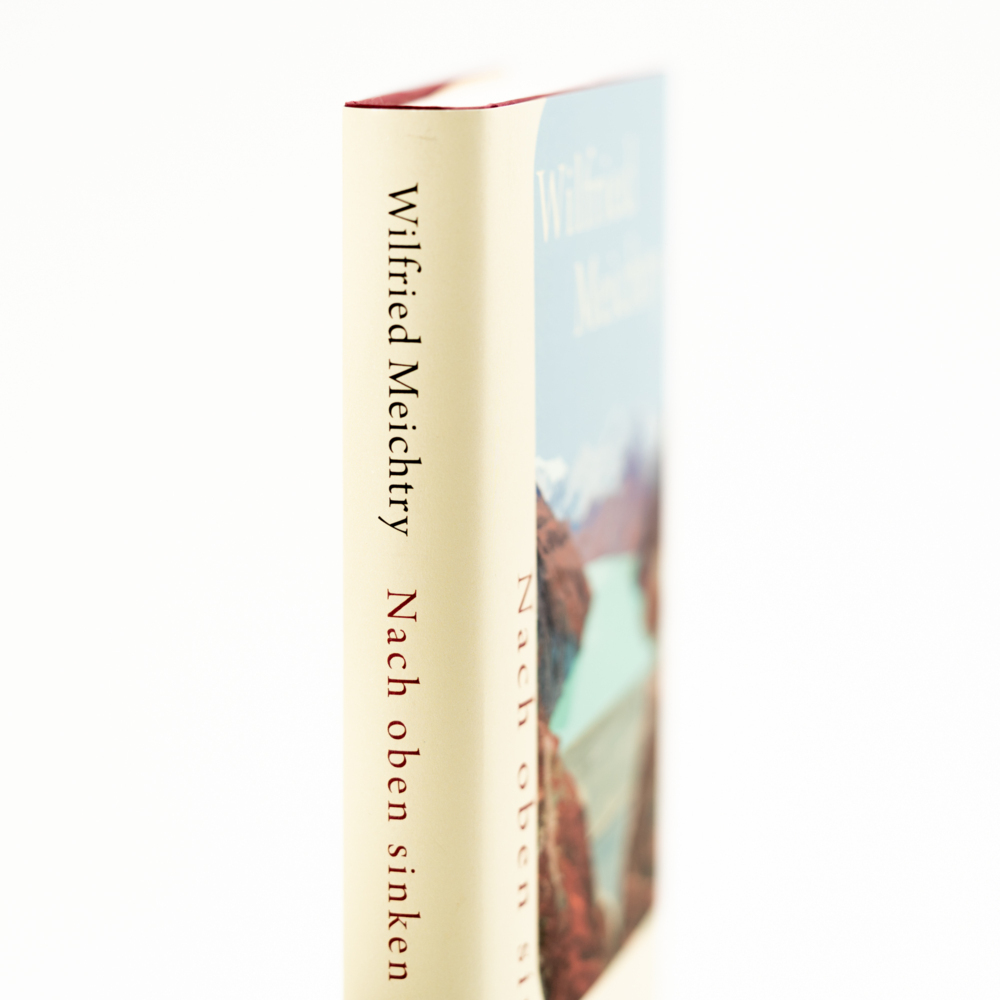 Weitere Ansicht: Nach oben sinken | Wilfried Meichtry