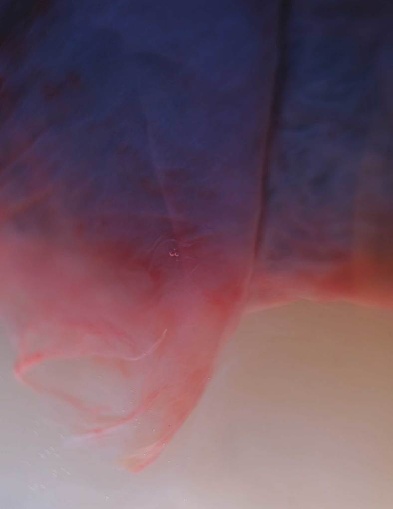 Weitere Ansicht: Plazenta Power | Sophia Johnson, Jana Pastuschek