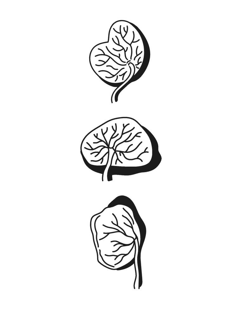 Weitere Ansicht: Plazenta Power | Sophia Johnson, Jana Pastuschek