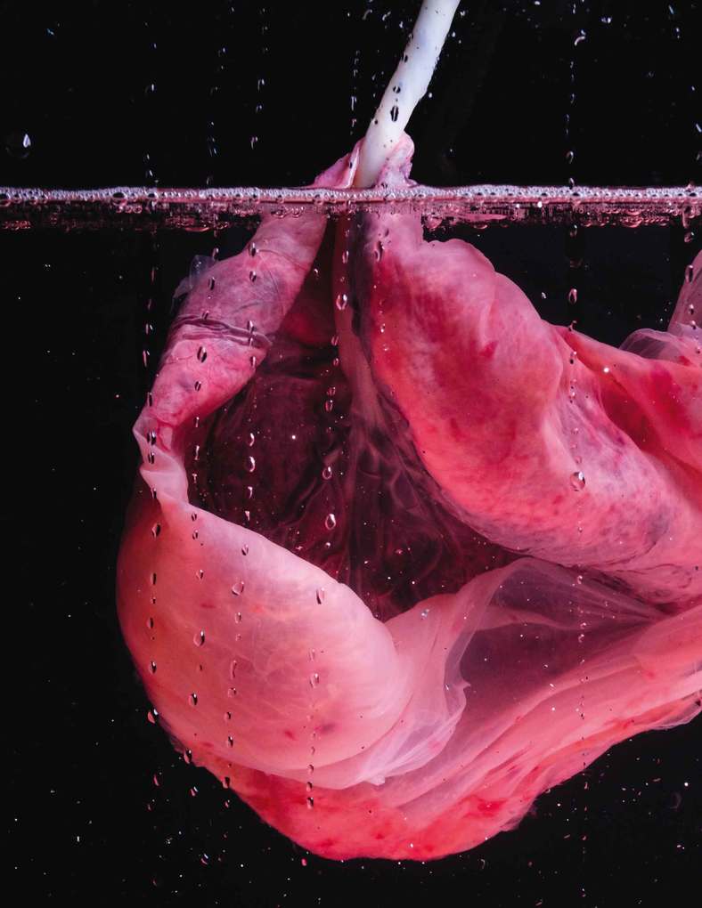 Weitere Ansicht: Plazenta Power | Sophia Johnson, Jana Pastuschek