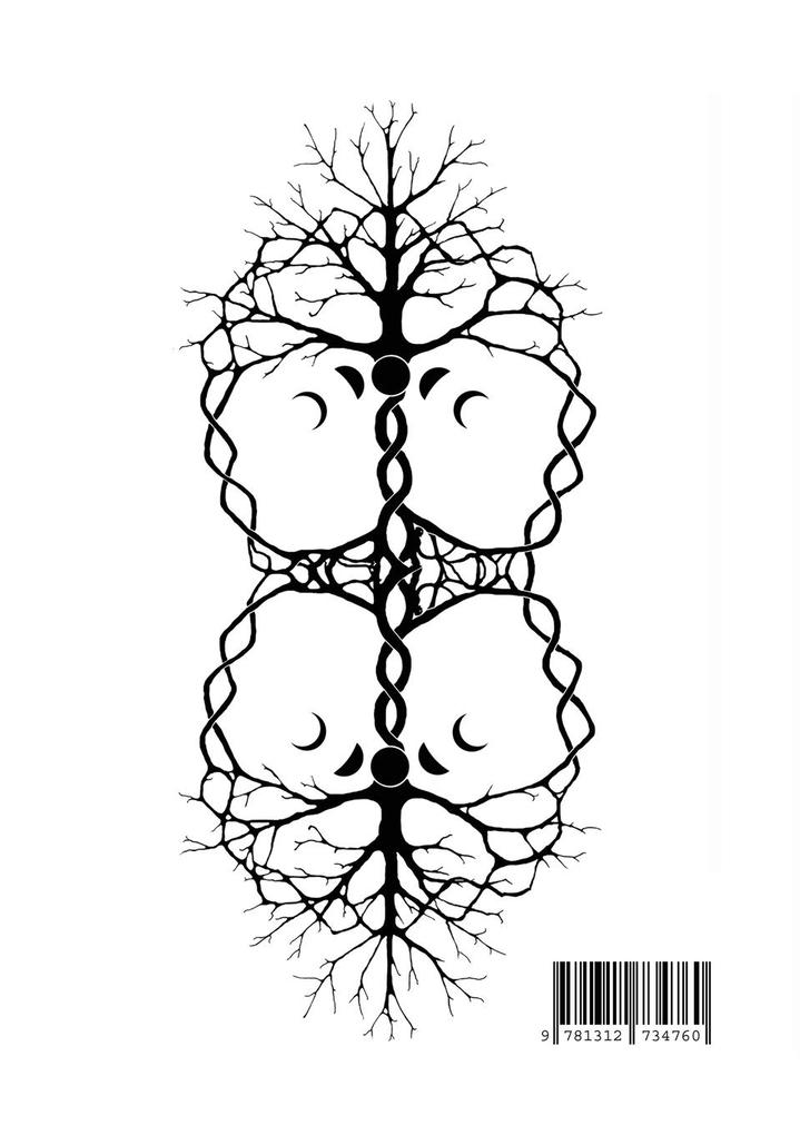 Weitere Ansicht: The Oracle of Animae Mundi Guidebook | Peter J Watts