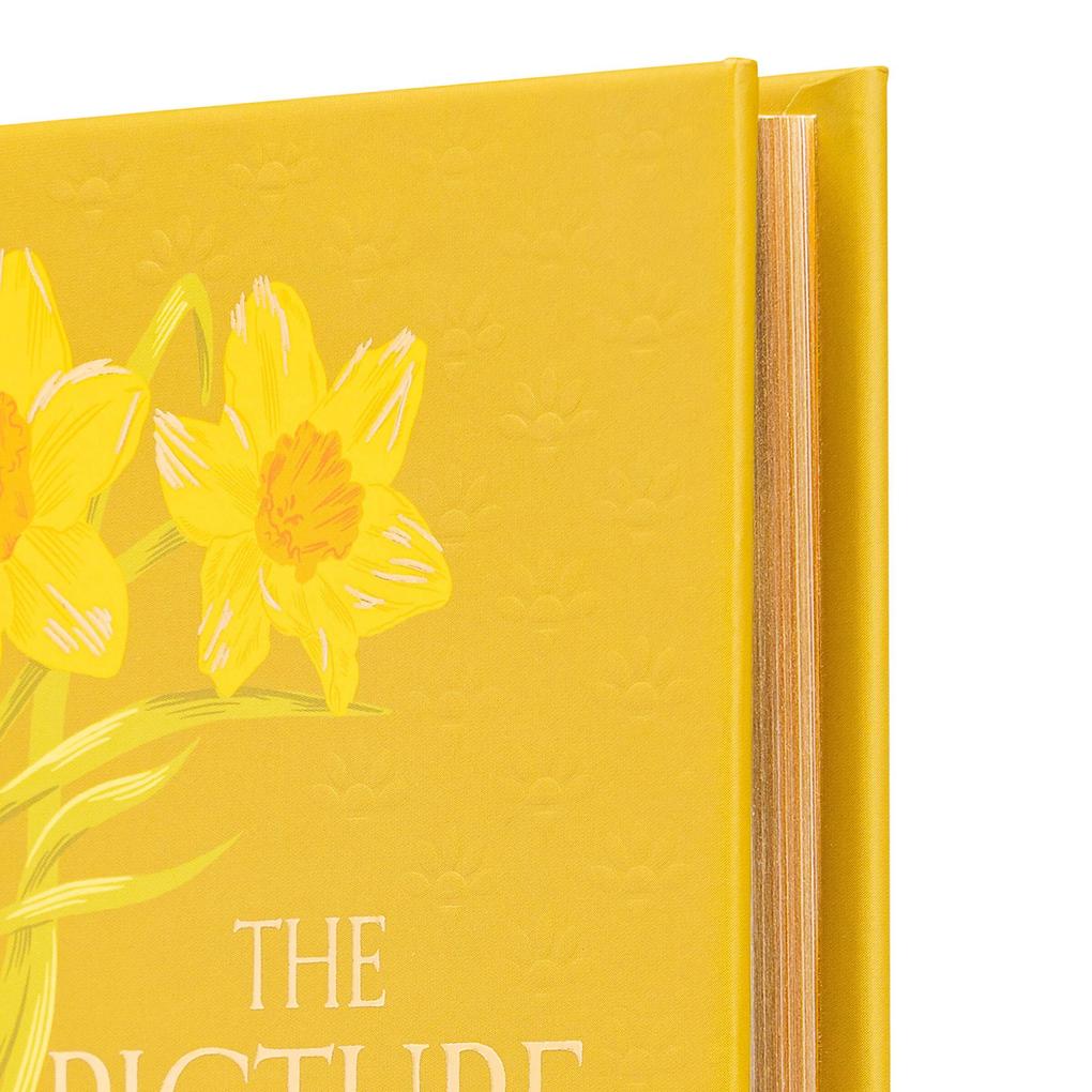 Weitere Ansicht: The Picture of Dorian Gray (Special Edition) | Oscar Wilde