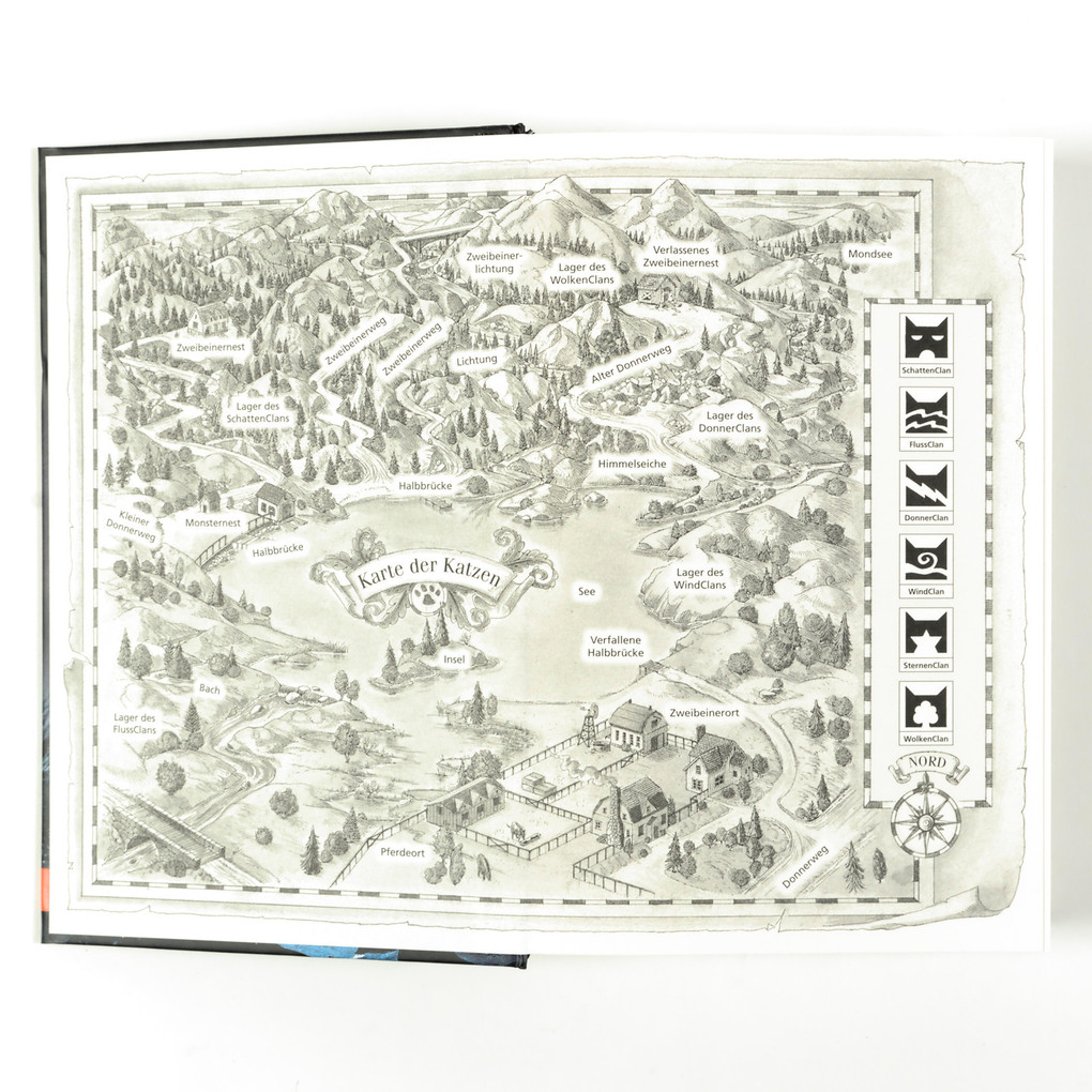 Weitere Ansicht: Warrior Cats 8/02. Ein sternenloser Clan. Wolken | Erin Hunter