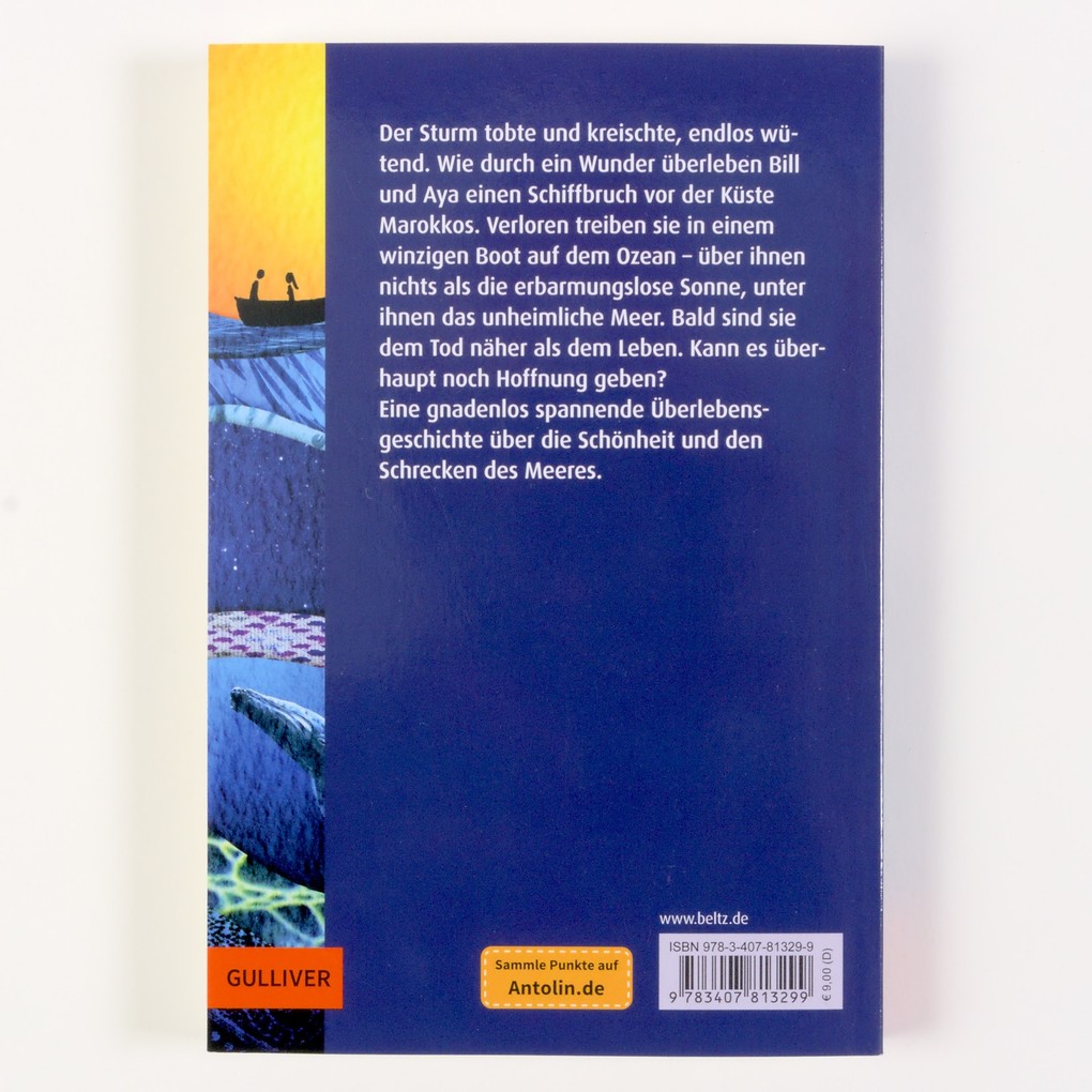 Weitere Ansicht: Allein auf dem Meer | Chris Vick