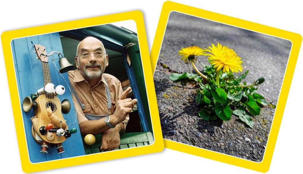 Weitere Ansicht: Dings und Bums