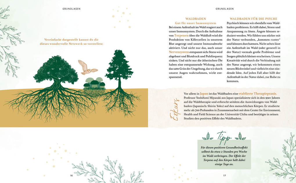 Weitere Ansicht: Zaubernuss und Waldmagie - Naturmomente für deine Seele | Sabine Strassmair
